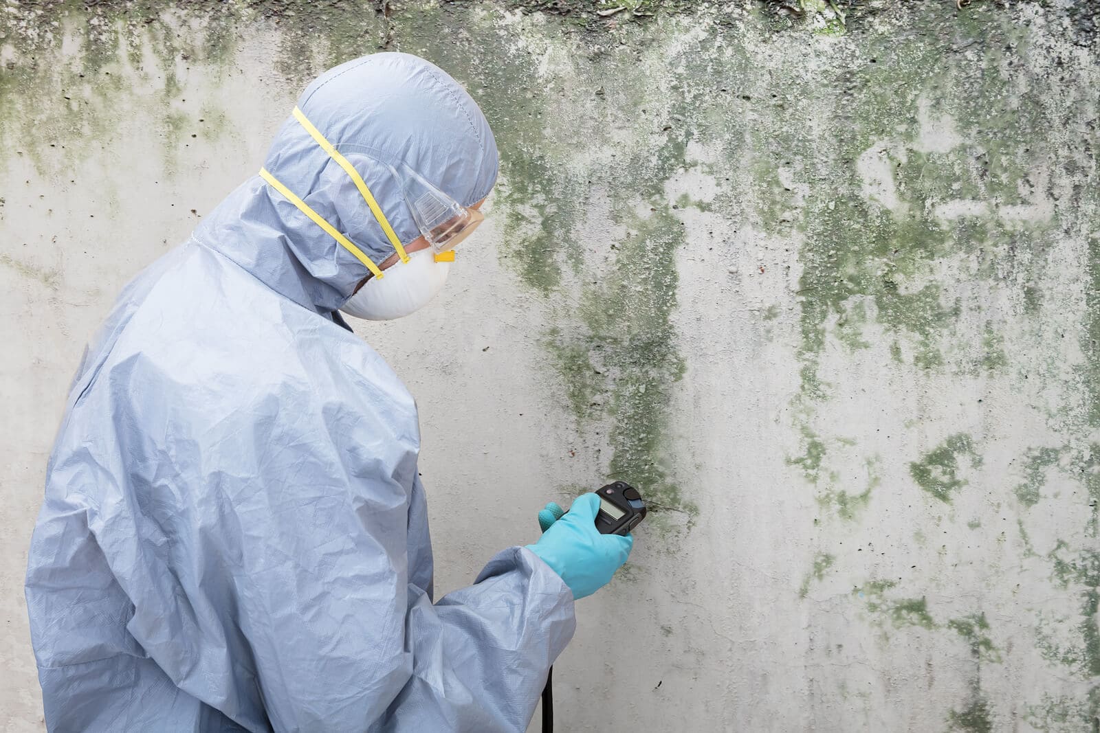 Expert Mold Remediation in San Jose: Protect Your Home & Health
